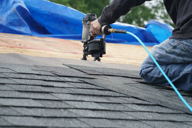 Best Green or Eco-Friendly Roofing Solutions  in Riverwoods, IL